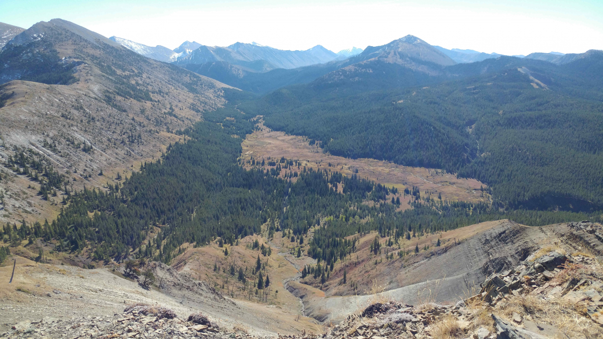 Elk Hunting area