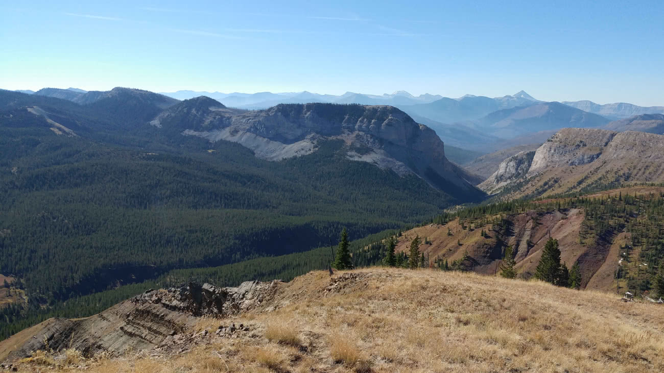 Elk Muledeer hunting area