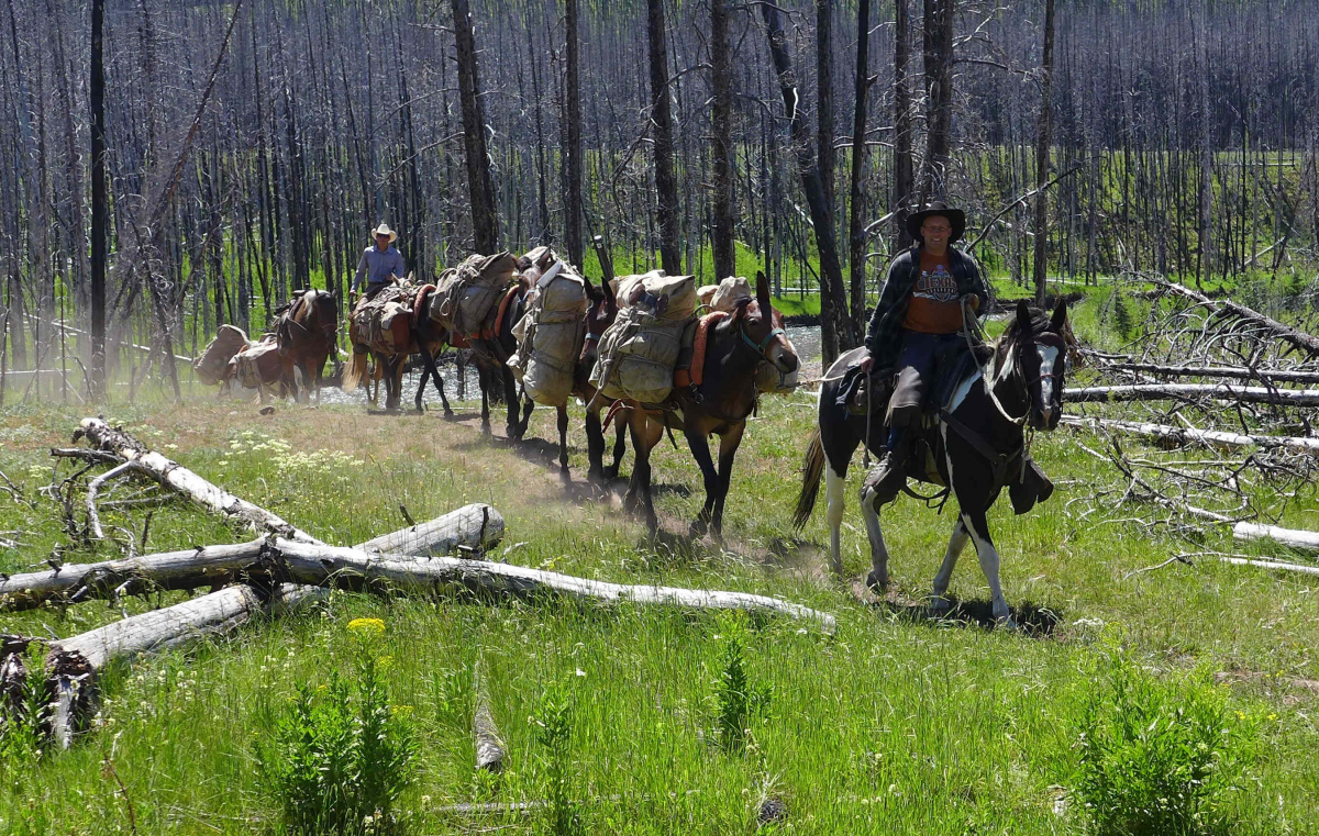 Horse Riding Vacation