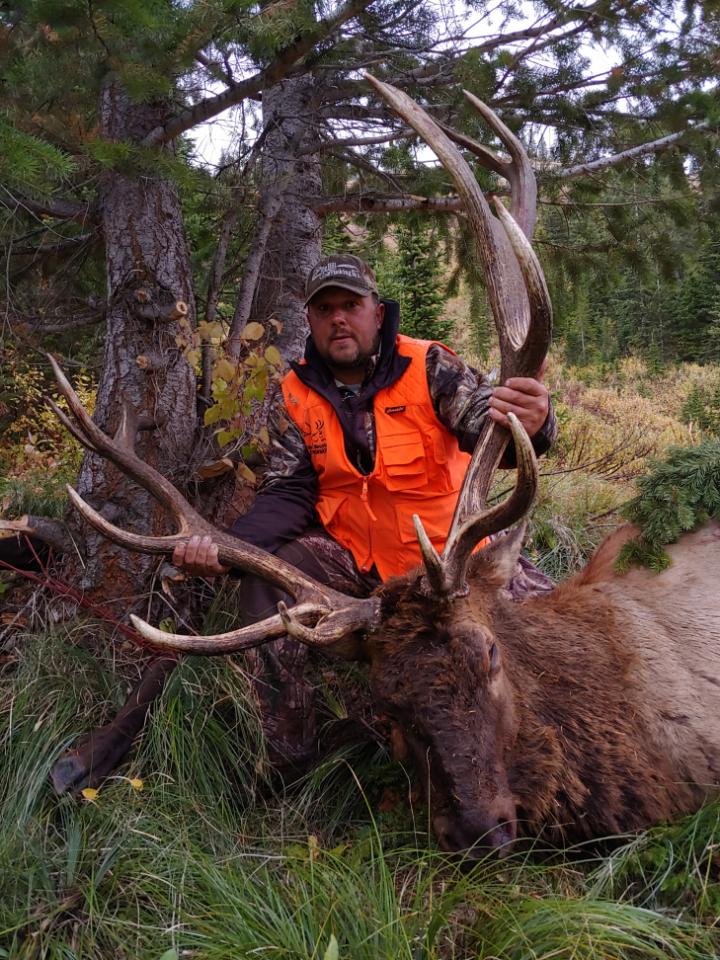 Royal Early Season Elk