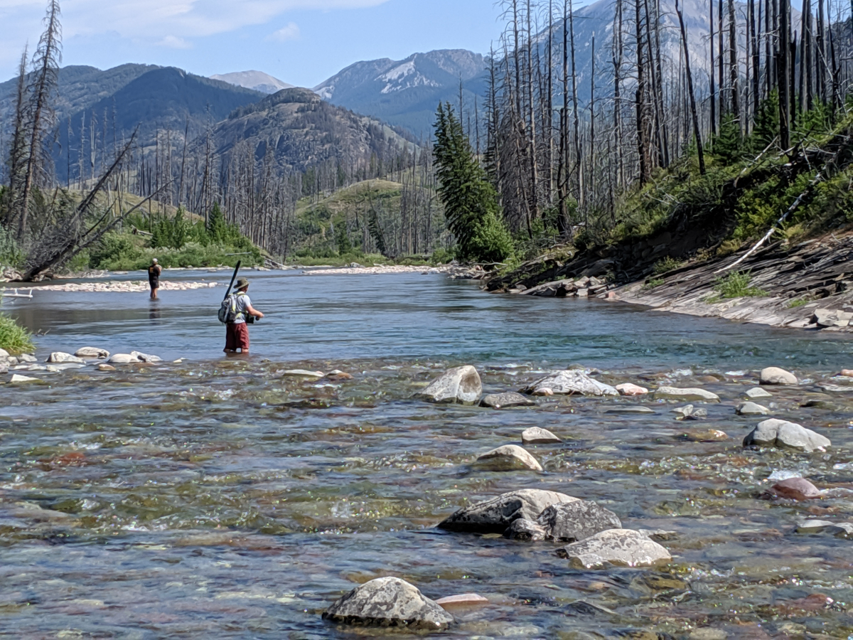 Fly Fishing South Fork