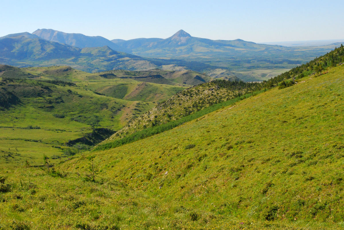 Rocky Mountain Front Dupuyer