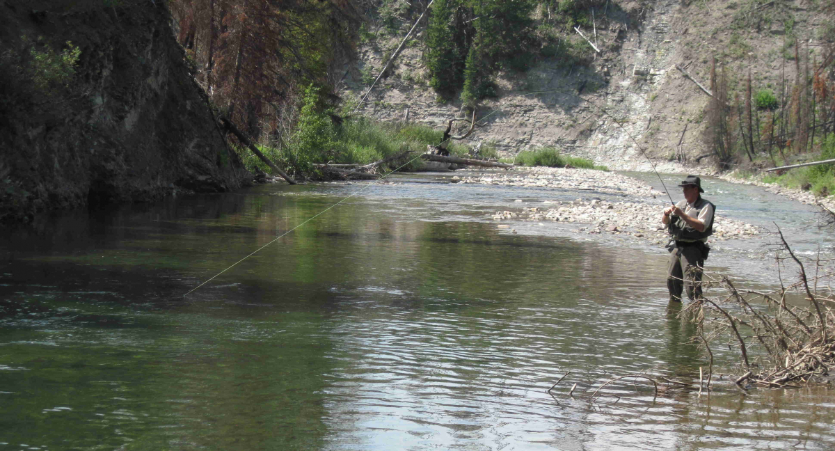 Dry Fly Fishing Sun River