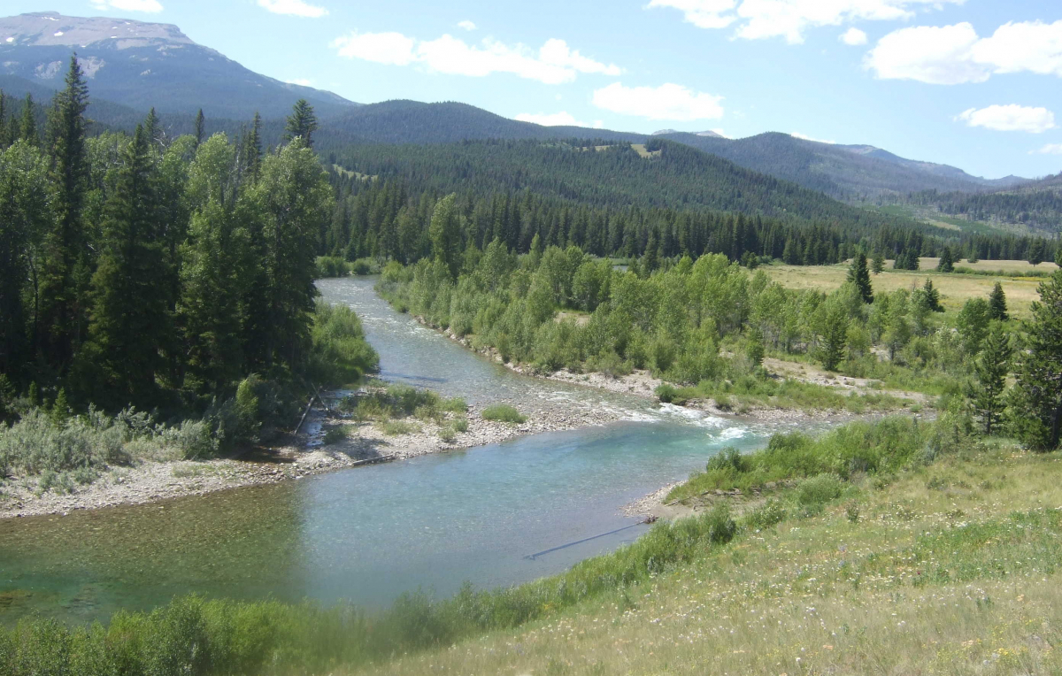 Magnificent Mountain Fishing