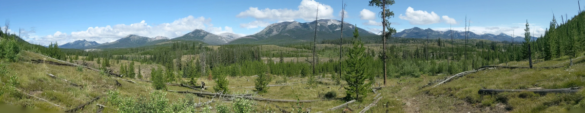 North Fork Sun River Valley