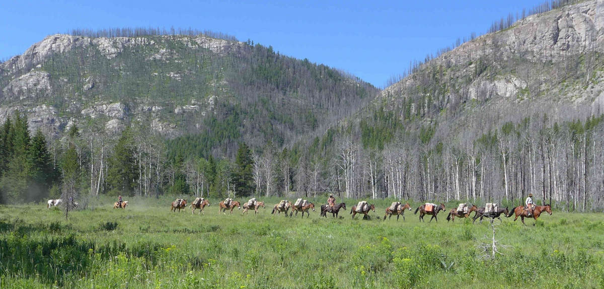 Packstring at Pretty Prairie