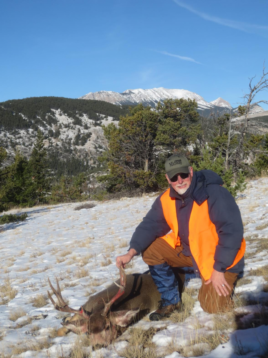 Mule Deer buck