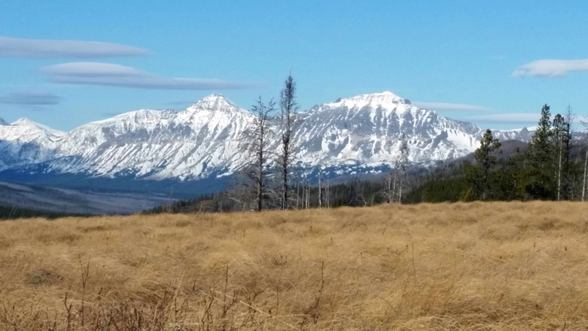 Marias Pass Rising Wolf Mountain