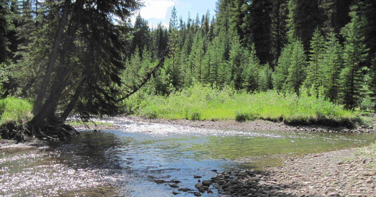 Rock Creek Fly Fishing