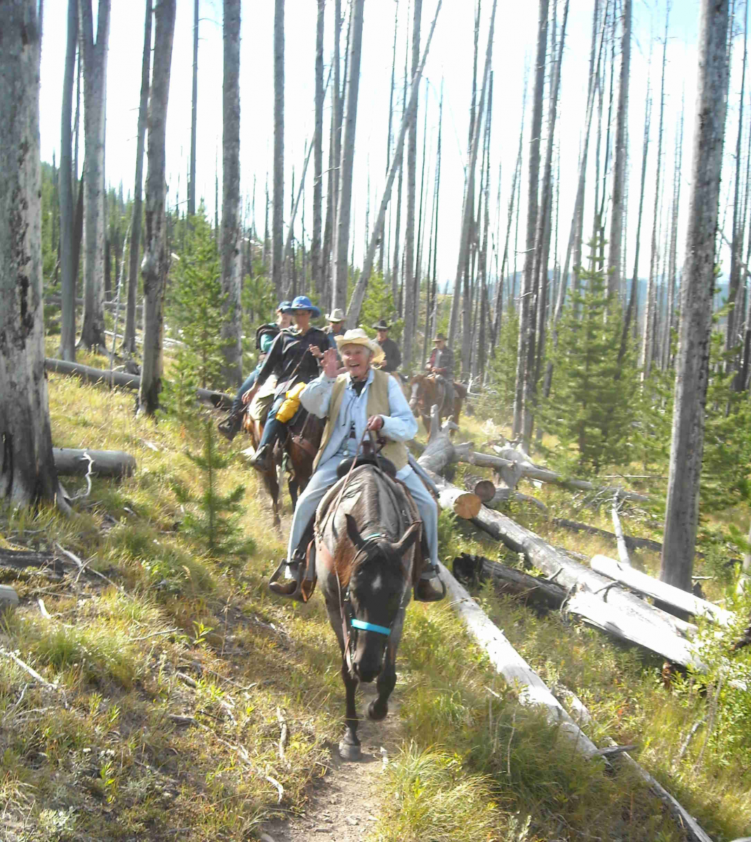 Horse Trail Riding
